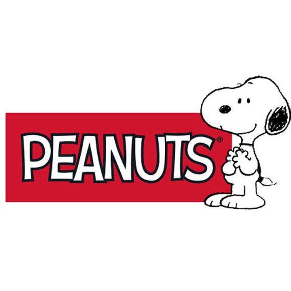 Brand New with Tags Limited Edition Very Bradley SKY SLOPE SNOOPY Cosmetic Case - Picture 4 of 4